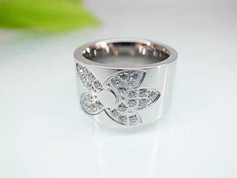 1139 Anillo Plat Zc