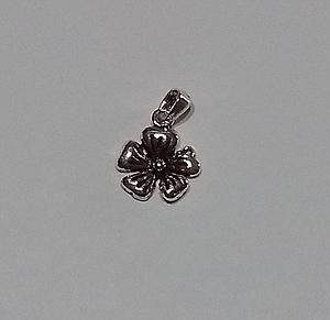 PL 913 Colgante Plata