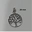 PL 988 Colgante Plata
